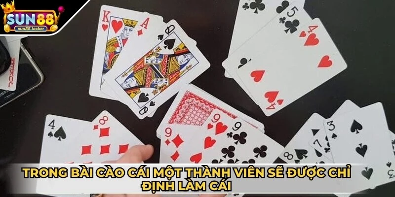 Chơi bài Cào là gì? Hướng dẫn cách đánh chuẩn nhất 4 Trong bài Cào cái một thành viên sẽ được chỉ định làm cái