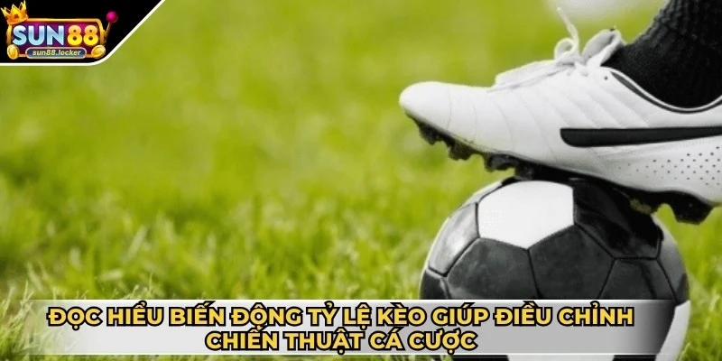 Kèo bóng Handicap - Hướng dẫn chơi và bí quyết đặt cược 4 Đọc hiểu biến động tỷ lệ kèo giúp anh em điều chỉnh chiến thuật cá cược